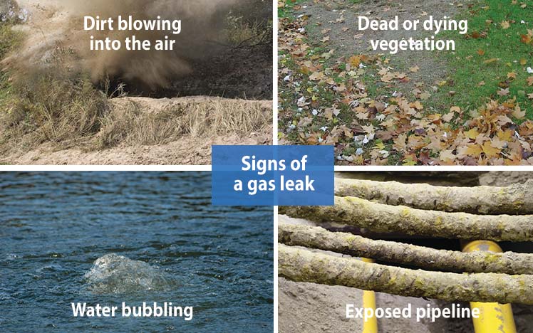 Signs of a Gas Leak